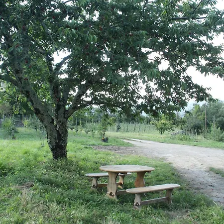 Dans Un Rural * Saint-Jean-du-Gard
