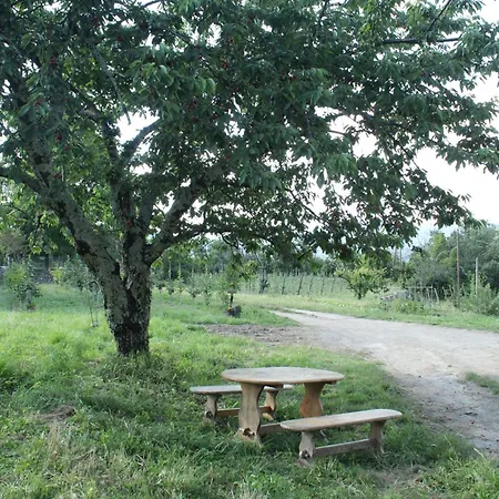 D Hotes Avec Petit Dejeuner 3* Saint-Jean-du-Gard